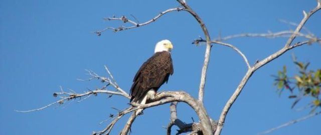 11447 SW Lake Park Drive, Port St Lucie, FL 34987