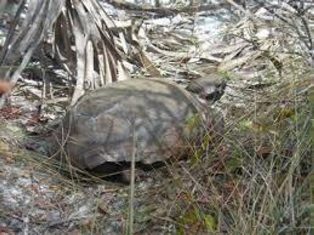 11447 SW Lake Park Drive, Port St Lucie, FL 34987