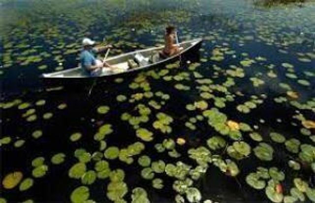 11447 SW Lake Park Drive, Port St Lucie, FL 34987