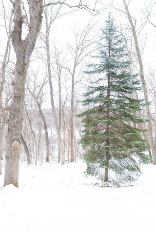 8566 Oak Hill Circle, Prior Lake, MN 55372