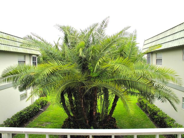 376 Flanders H, Delray Beach, FL 33484