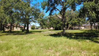 Lot 65 Birdie A/K/A 225 Birdie Drive, Hempstead, TX 77445