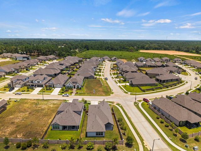 19226 Olive Heath Lane, Magnolia, TX 77355