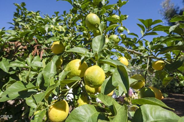 2550 Riave Court, Camarillo, CA 93012