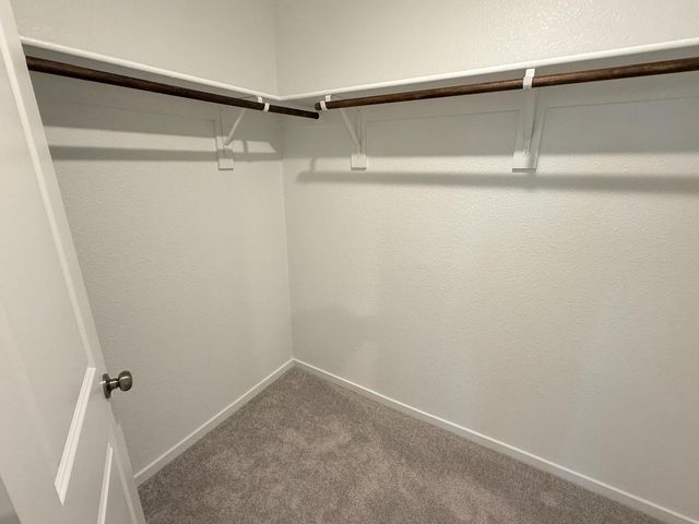 440 backcountry Drive, Little Elm, TX 75068