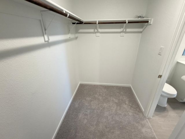 440 backcountry Drive, Little Elm, TX 75068