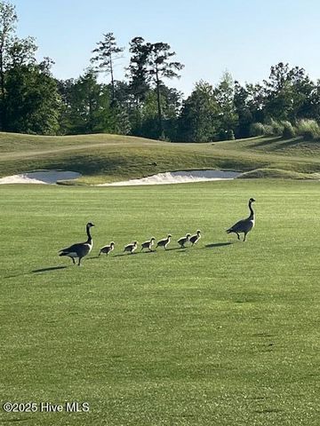 223 Sellers Street, Oak Island, NC 28465