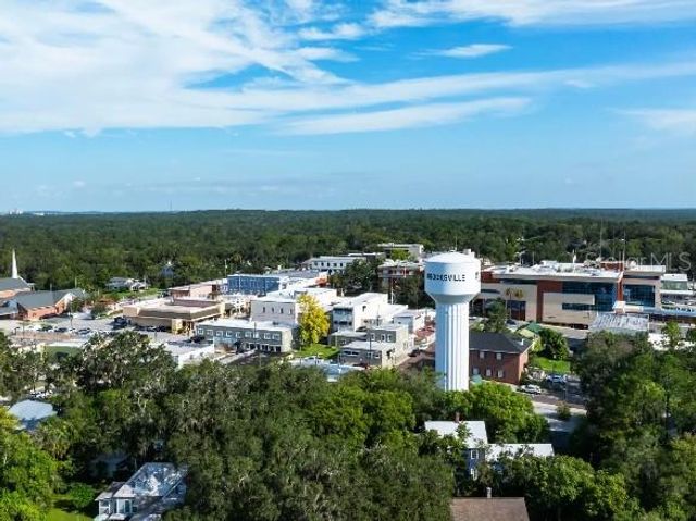 31563 WILD GRAPE LANE, Brooksville, FL 34602