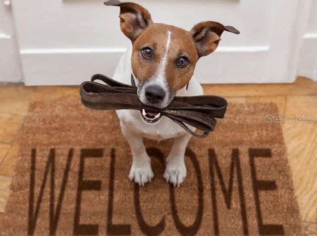 31563 WILD GRAPE LANE, Brooksville, FL 34602