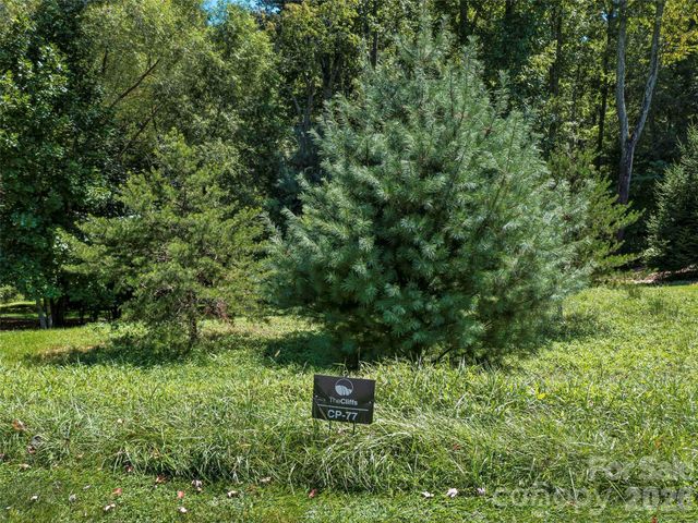 19 Mountain Orchid Way 77, Arden, NC 28704