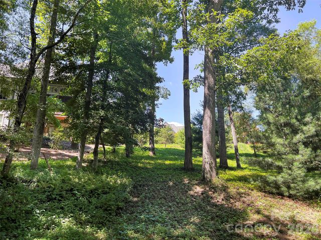 19 Mountain Orchid Way 77, Arden, NC 28704