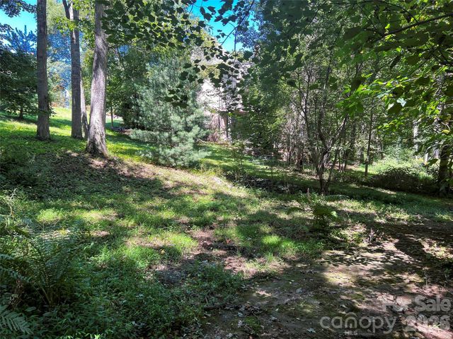 19 Mountain Orchid Way 77, Arden, NC 28704