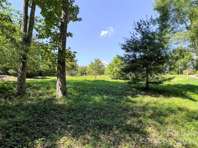 19 Mountain Orchid Way 77, Arden, NC 28704