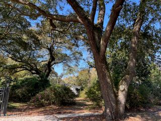 0 Camelia, Pass Christian, MS 39571