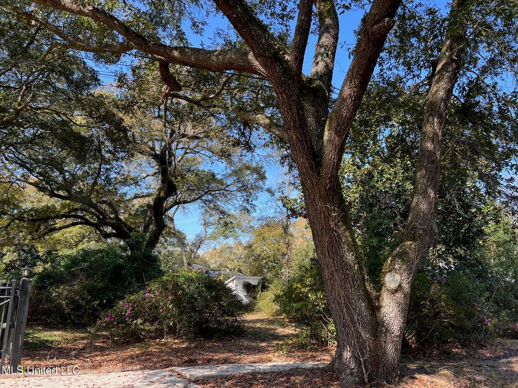 0 Camelia, Pass Christian, MS 39571