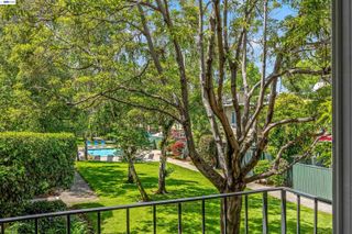 847 N Humboldt St 210, San Mateo, CA 94401