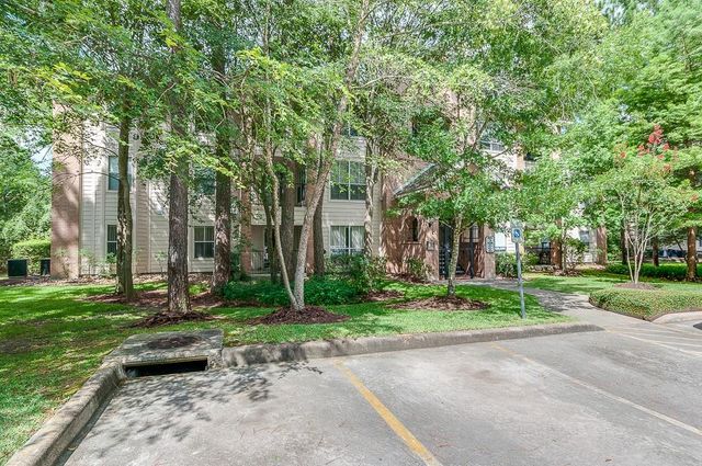 8051 Bay Branch Drive 333, The Woodlands, TX 77382