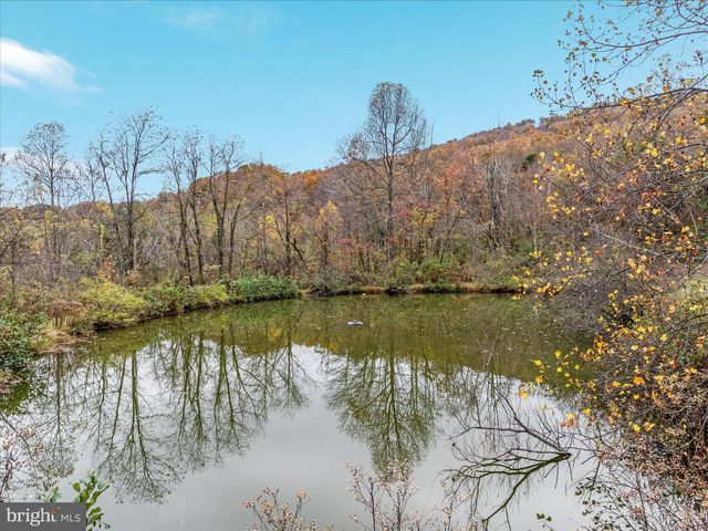 291 CAPON SPRINGS GRADE, Star Tannery, VA 22654