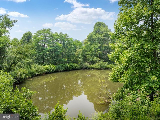 291 CAPON SPRINGS GRADE, Star Tannery, VA 22654