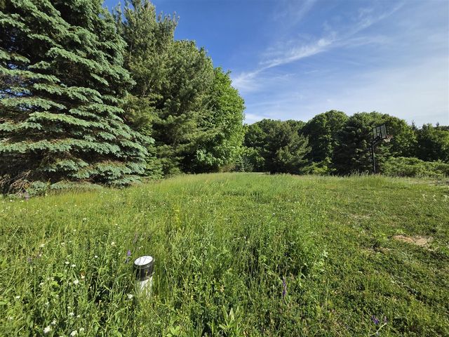 6829 Dale Court, Fennville, MI 49408