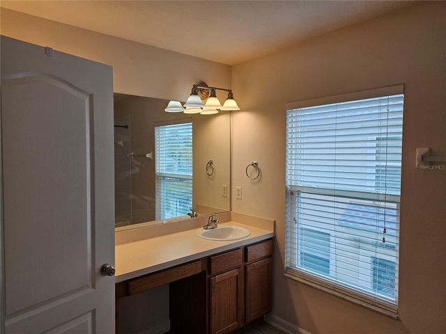 26638 CASTLEVIEW WAY, Wesley Chapel, FL 33544