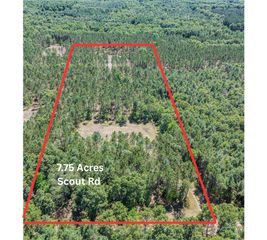 7.75 acres Scout Road, Mears, MI 49436
