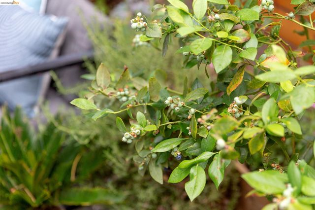 1331 Excelsior Ave, Oakland, CA 94602