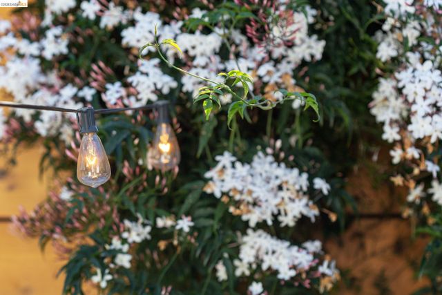 1331 Excelsior Ave, Oakland, CA 94602