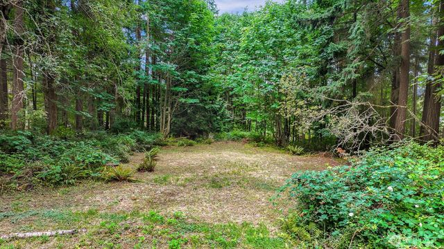 3717 Toad Lake Road, Bellingham, WA 98226