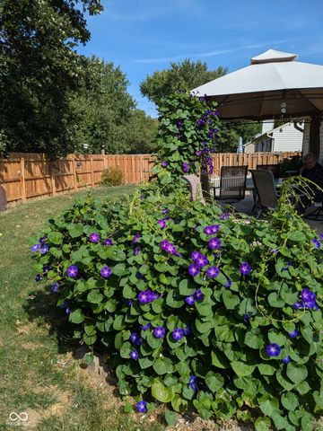 13270 Summerwood Lane, Fishers, IN 46038