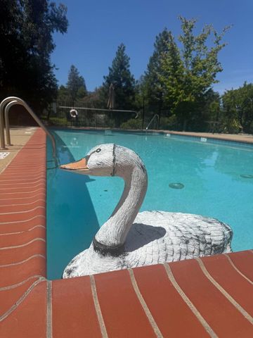 135 Vista Del Lago, Los Gatos, CA 95032