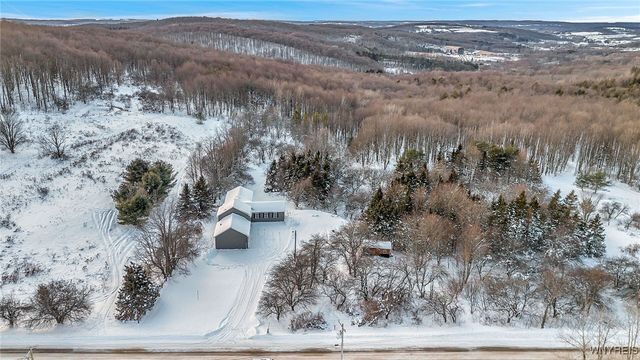 8425 Rohr Hill Road, East Otto, NY 14729