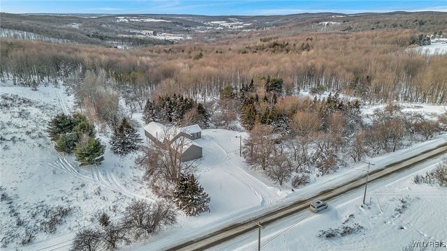 8425 Rohr Hill Road, East Otto, NY 14729