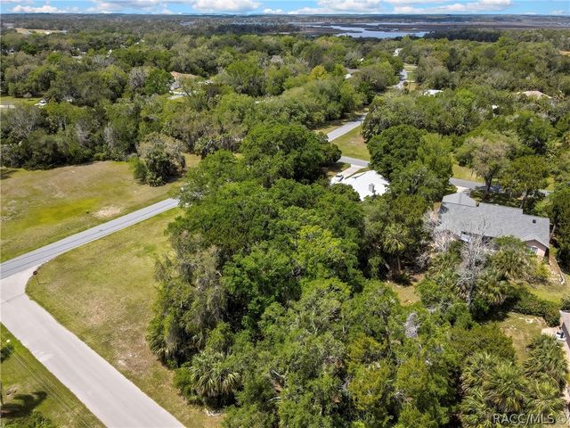 11587 W Timberlane Drive, Homosassa, FL 34448