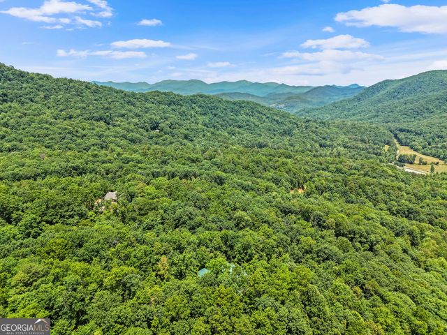 557 Walnut Grove Lane, Tiger, GA 30576