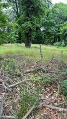 630 Hackett Street, Statesville, NC 28677