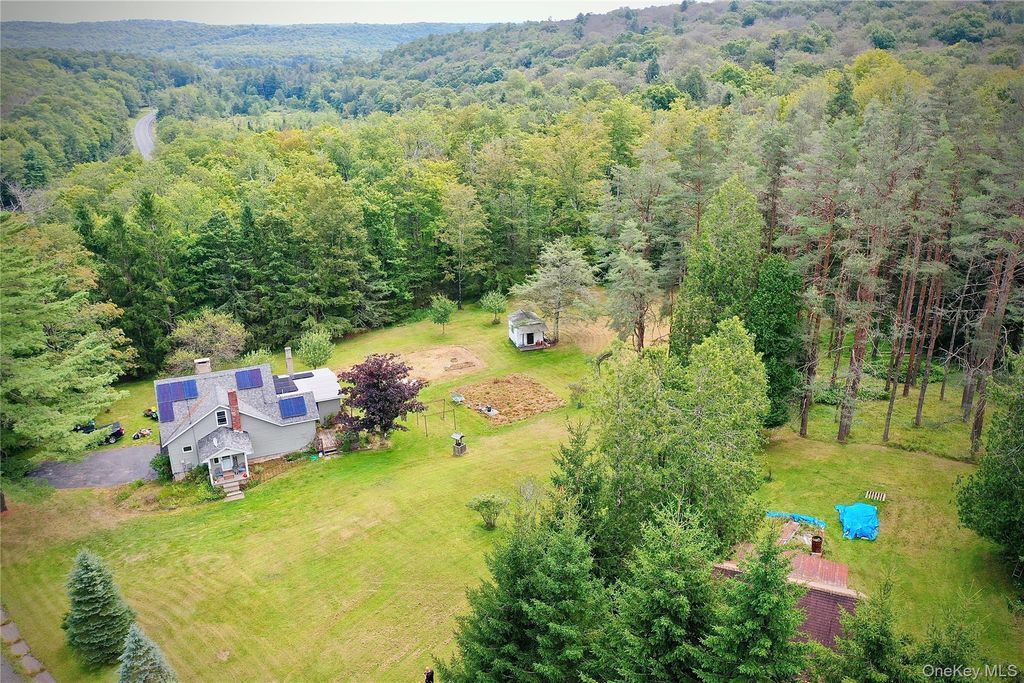 669 Shandelee Road, Livingston Manor, NY 12758