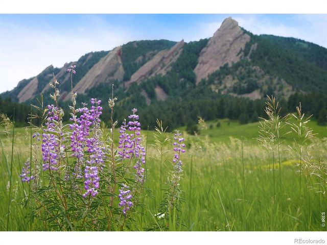 1344 6th Street, Boulder, CO 80302