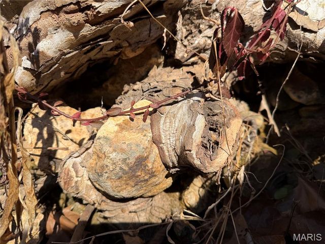 551 Bluffton Rd, Rhineland, MO 65069