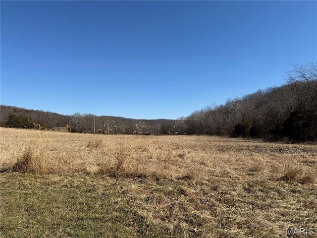 551 Bluffton Rd, Rhineland, MO 65069