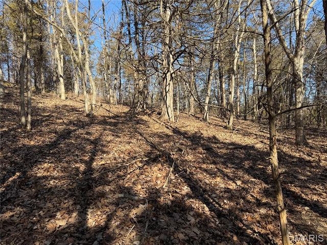 551 Bluffton Rd, Rhineland, MO 65069