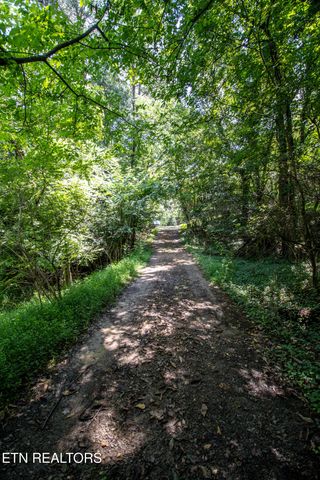 12116 Henry Frye Way, Knoxville, TN 37922