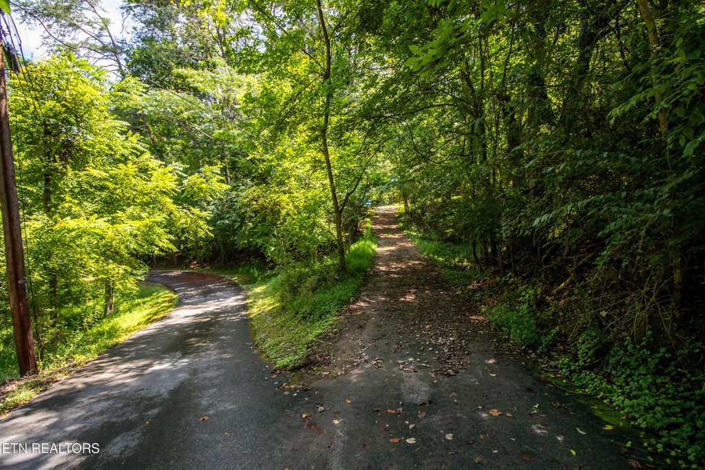 12116 Henry Frye Way, Knoxville, TN 37922