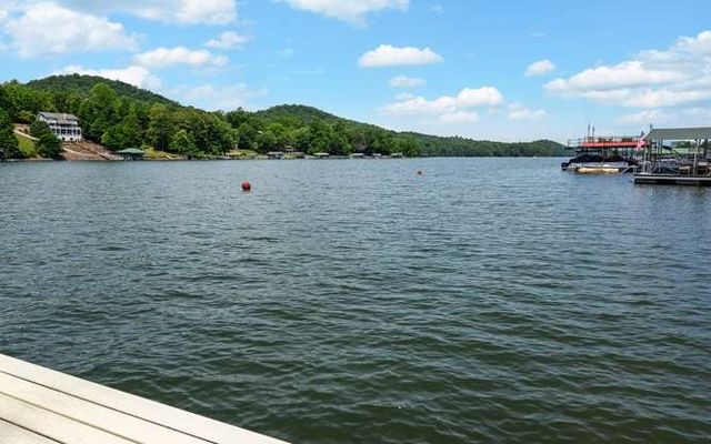 561 Long View Drive, Hiawassee, GA 30546