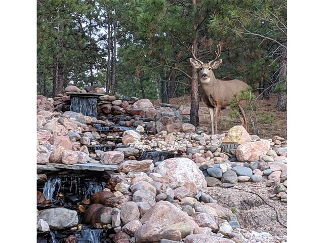 17045 Viscount Ct, Monument, CO 80132