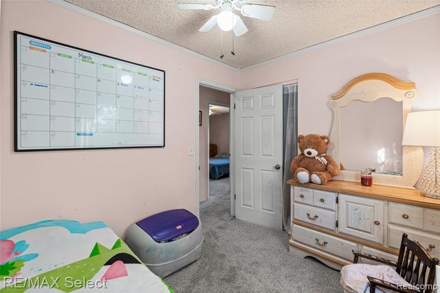 6393 Frances Road, Mount Morris, MI 48458