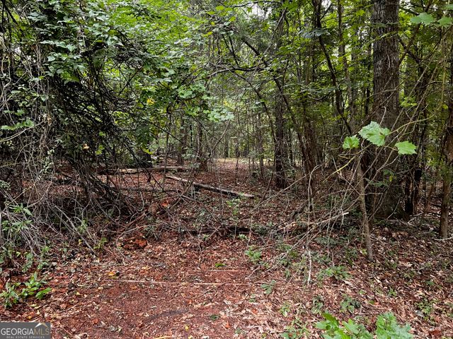 410 Irvin Road, Thomaston, GA 30286