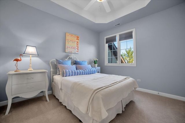 12704 Wild Rye Court, Plainfield, IL 60585