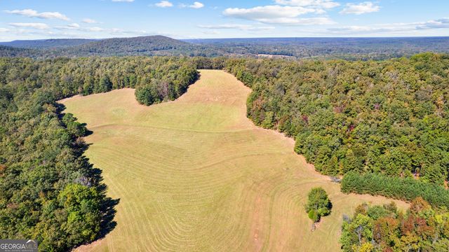 5225 Chalybeate Springs Road, Woodland, GA 31836