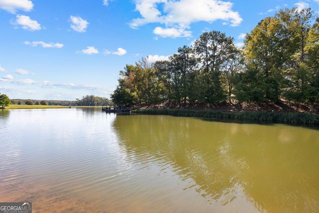 5225 Chalybeate Springs Road, Woodland, GA 31836